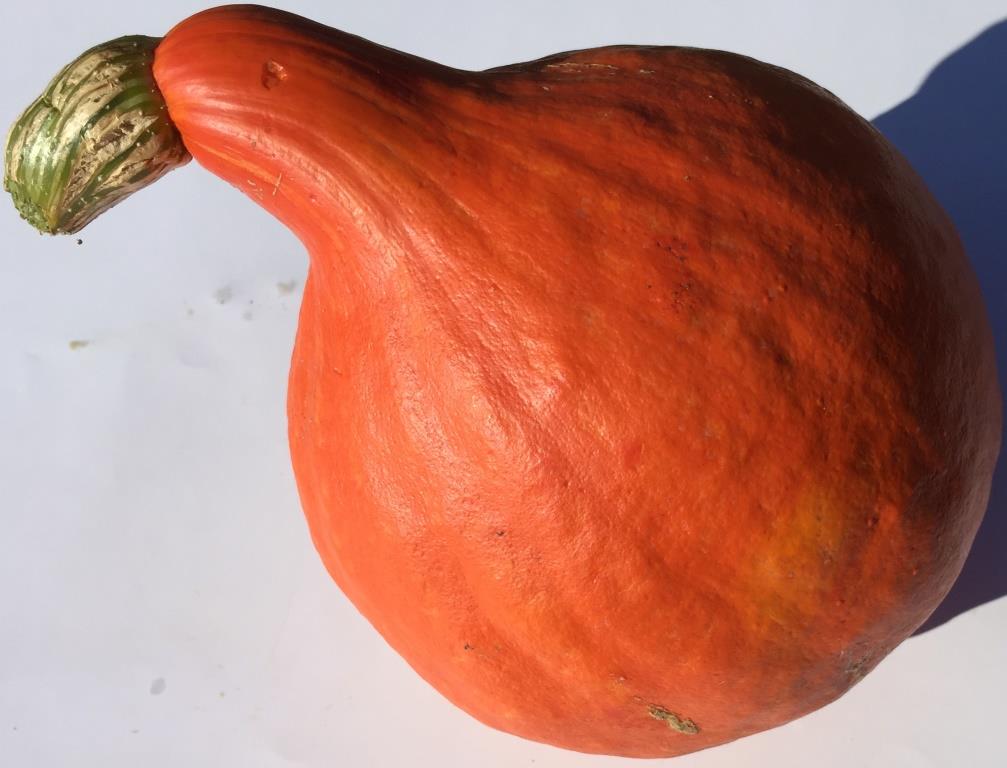 Potimarrons AB Potimarrons AB